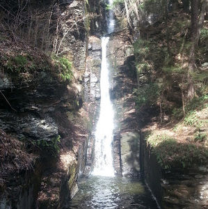 Meet your Posher, Bb bed